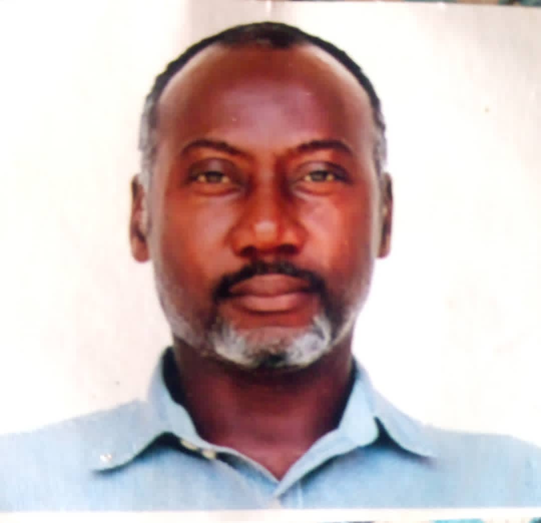Peter Alimiagha Johnson